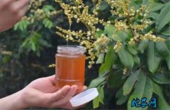 2020年4月19日荔枝蜜价格行情、...