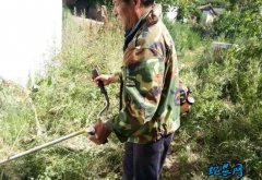 陕西：借势防疫 净美三秦、集中组织消...