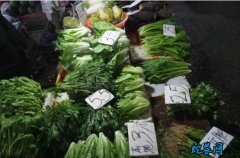 4月22日农批价格200指数比下降0...