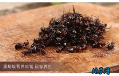 2020年4月22日蚂蚁价格行情、今...