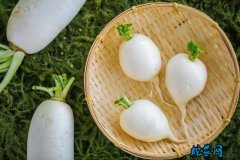 2020年4月24日萝卜价格行情、今...