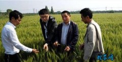 农民朋友注意！安徽省赤霉病防治面积过...