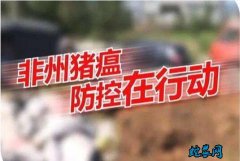 农业农村部召开非洲猪瘟防控等工作督导...