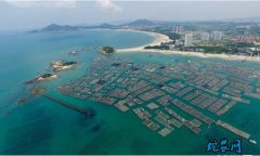 2020年5月福建省水产养殖病害预报