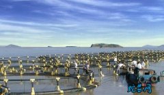 2020年5月山东省水产养殖病害预报