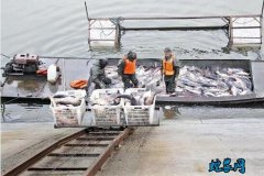 2020年5月重庆市水产养殖病害预报