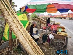 广西：更好激发乡村振兴新动能