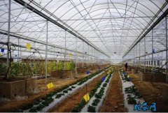 云南：全省农业农村经济发展稳步推进
