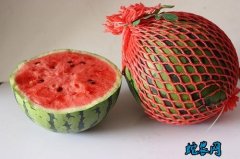 上海浦东团农合作社 保障8424西瓜...