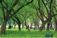 陕西阎良：种养结合 物尽其用