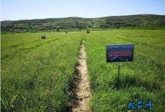 胡麻种植技术：2020年胡麻生产技术...