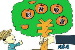 致富经：江西武宁县七彩农业产业撑起精...