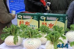 致富经：綦江区小萝卜“托”起脱贫梦！
