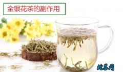 金银花茶的副作用？