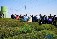 湖南：15个县市区推进山丘区果菜茶机...