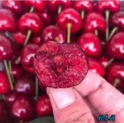 大樱桃车厘子出售：闻名遐迩的澄城县大...