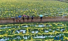 江西赣南：脱贫攻坚铺就小康之路