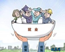 农村就业扶持政策、2020年中央对农...