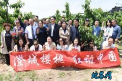 陕西：澄城樱桃“燃爆”中国樱桃展！