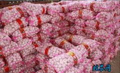 山东金乡市场：一周农产品价格行情（5...