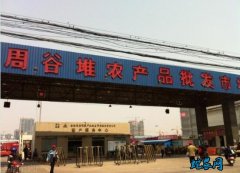 合肥周谷堆市场：一周蔬菜价格行情分析...