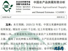 2020年5月中国农产品供需形势分析...