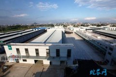 广西新柳邑市场：应季水果价格跌幅明显...