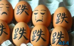 山东鸡蛋价格创年内新低！最低价为5....