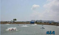 水产养殖疾病防治：天津市2020年6...