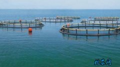 水产养殖疾病防治：辽宁省2020年6...