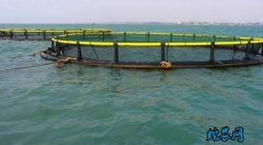 水产养殖疾病防治：海南省2020年6...