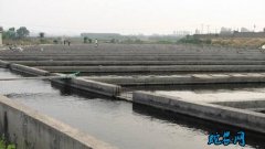水产养殖疾病防治：陕西省2020年6...