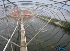 水产养殖疾病防治：浙江省2020年6...