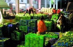 广东汕头市场：蔬菜均价同比上周持续上...