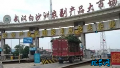 武汉白沙洲市场：20个蔬菜品种相比小...