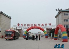 山东金乡市场：金乡大蒜入库进行中价格...