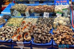 威海水产品市场：海鲜价格行情！