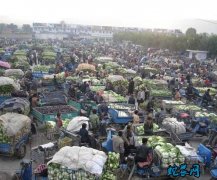 6月18日农批价格指数上涨0.32个...