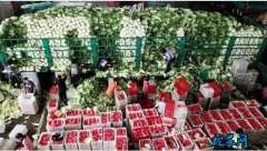 6月19日农批价格指数上涨0.46%...
