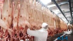 综述：德国肉类加工企业频发新冠疫情引...