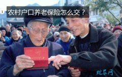 2020年农村户口养老保险怎么交？要...