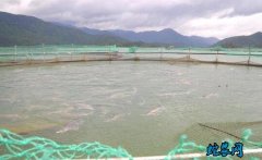 水产养殖疾病防治：2020年7月份全...