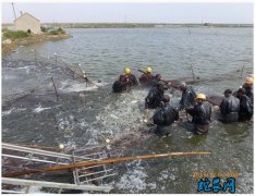 水产养殖疾病防治：江苏省2020年7...