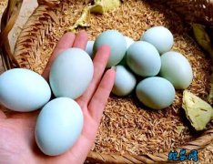 2020年6月29日乌鸡蛋价格行情、...
