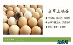2020年6月30日虫草蛋价格行情、...