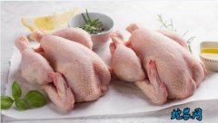 2020年7月6日鸡肉价格行情、今日...