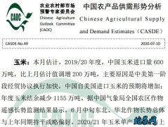 2020年7月中国农产品供需形势分析...