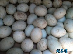 2020年7月14日土鸭蛋价格行情、...