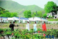 云南省：乡村旅游示范助力脱贫