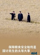 习近平食为政首：稳住农业基本盘增添发...
